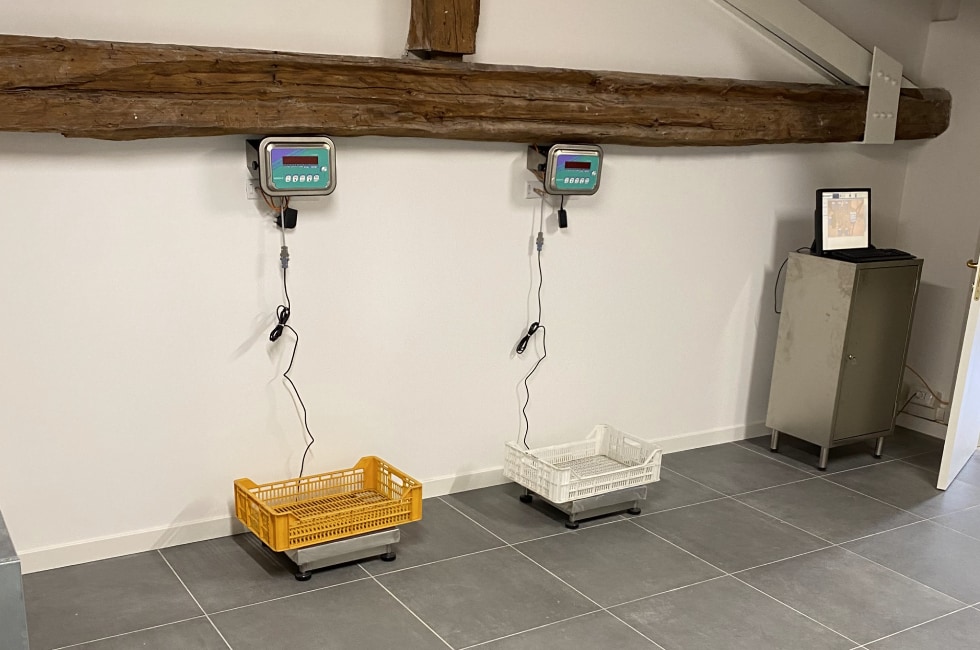 Impianti di micro-appassimento (UniVr)